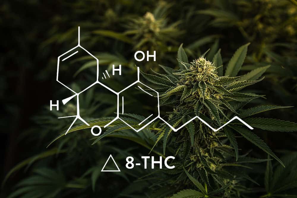What is Delta 8 THC