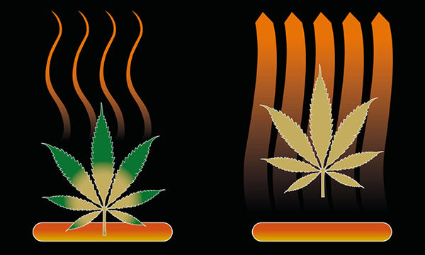 Dry Herb Vaporizers: Understanding Conduction vs. Convection Vaping