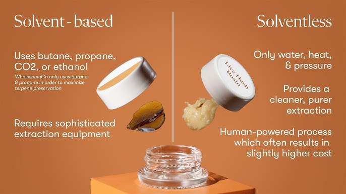 Solvent-Based vs. Solventless Cannabis Concentrates