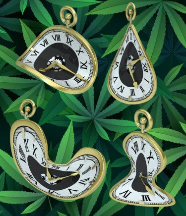Cannabis alters time