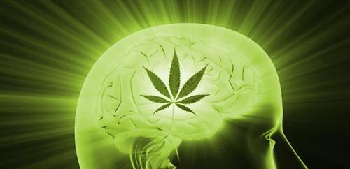 The Effects of Cannabis on Creativity: A Comprehensive Exploration