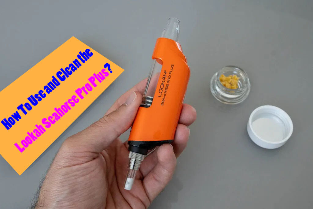How To Use and Clean the Lookah Seahorse Pro Plus?
