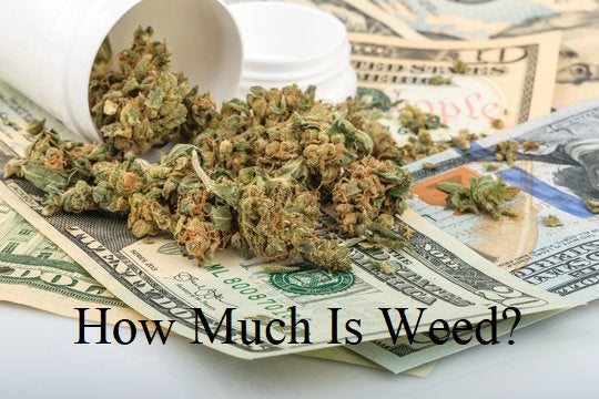 How Much Does a Gram of Weed Cost Around the World?