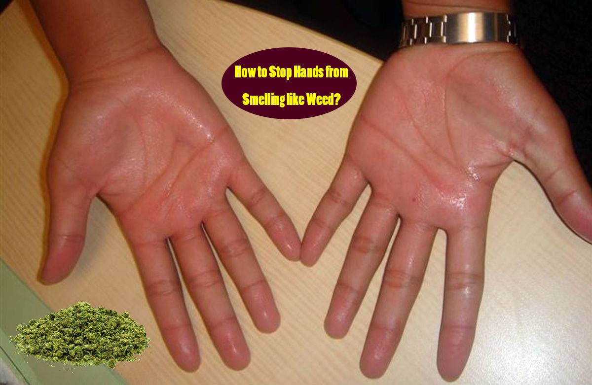 How to Stop Hands from Smelling like Weed?