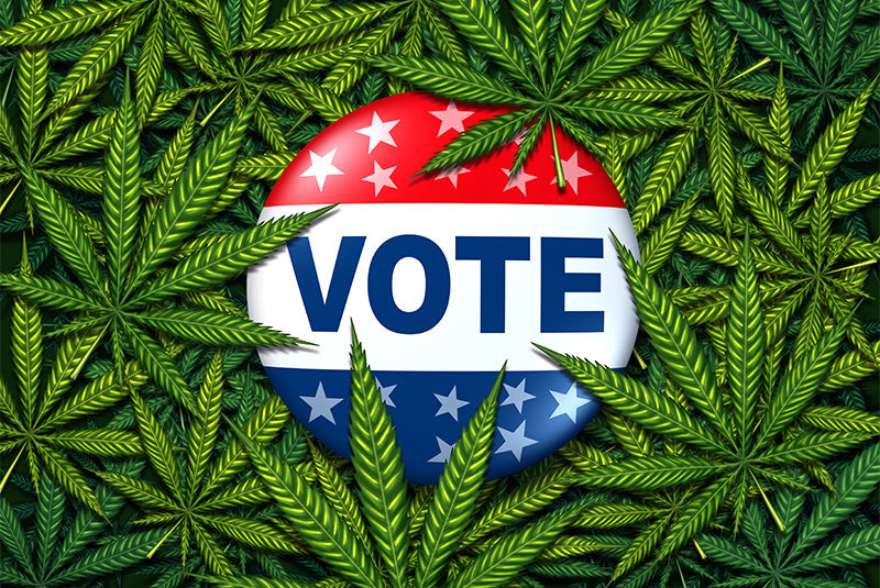 Vote badge with cannabis leaf background