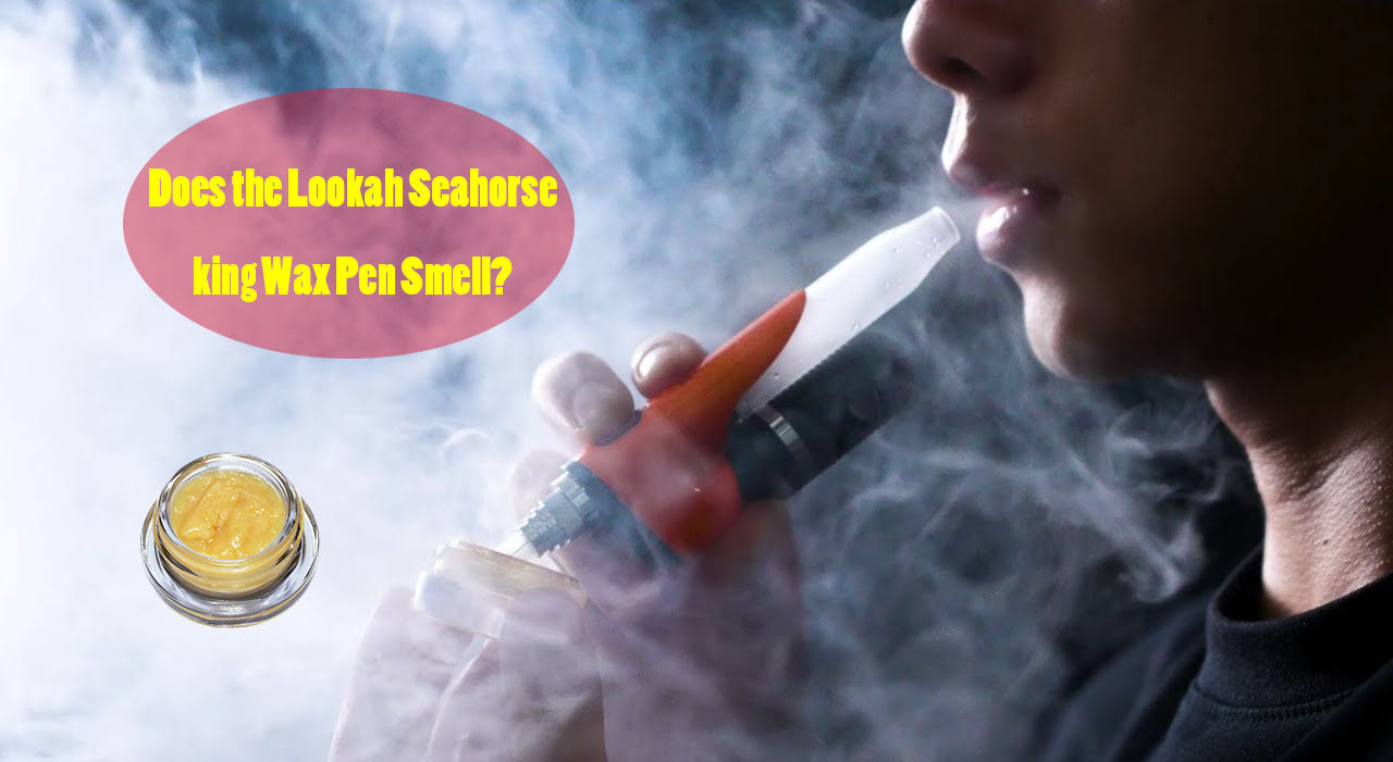 Does the seahorse king smell wax pen?